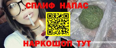 шишки Дубна