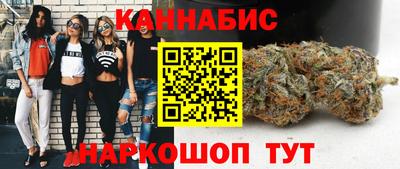 шишки Дубна