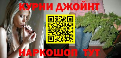 шишки Дубна