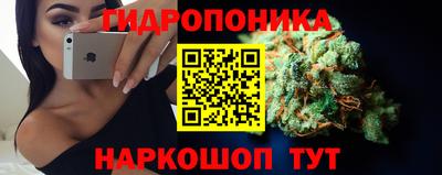 шишки Дубна