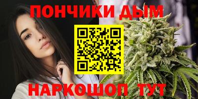 шишки Дубна