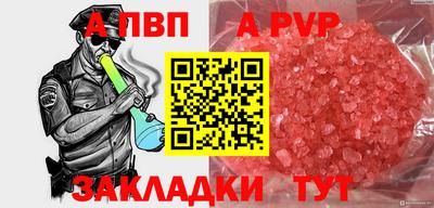 шишки Дубна