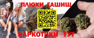 шишки Дубна