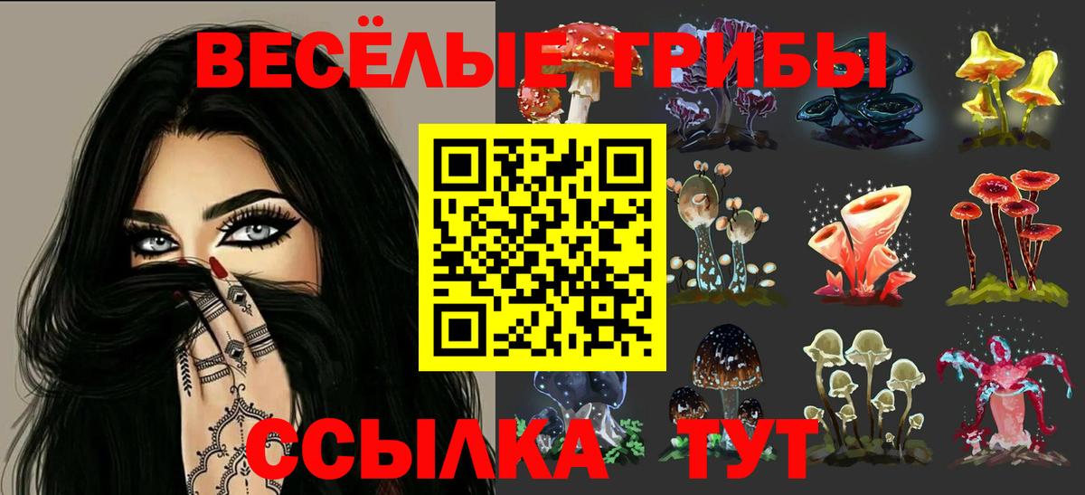 Псилоцибиновые грибы мицелий Кубинка
